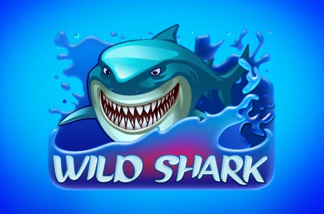 Wild Shark
